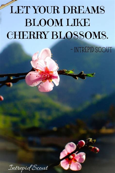 cherry blossom.captions